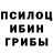 Галлюциногенные грибы Psilocybe Denchik Umerov