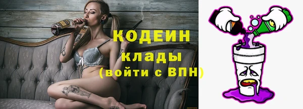 молекула духа Лихославль