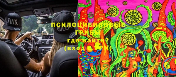 молекула духа Лихославль